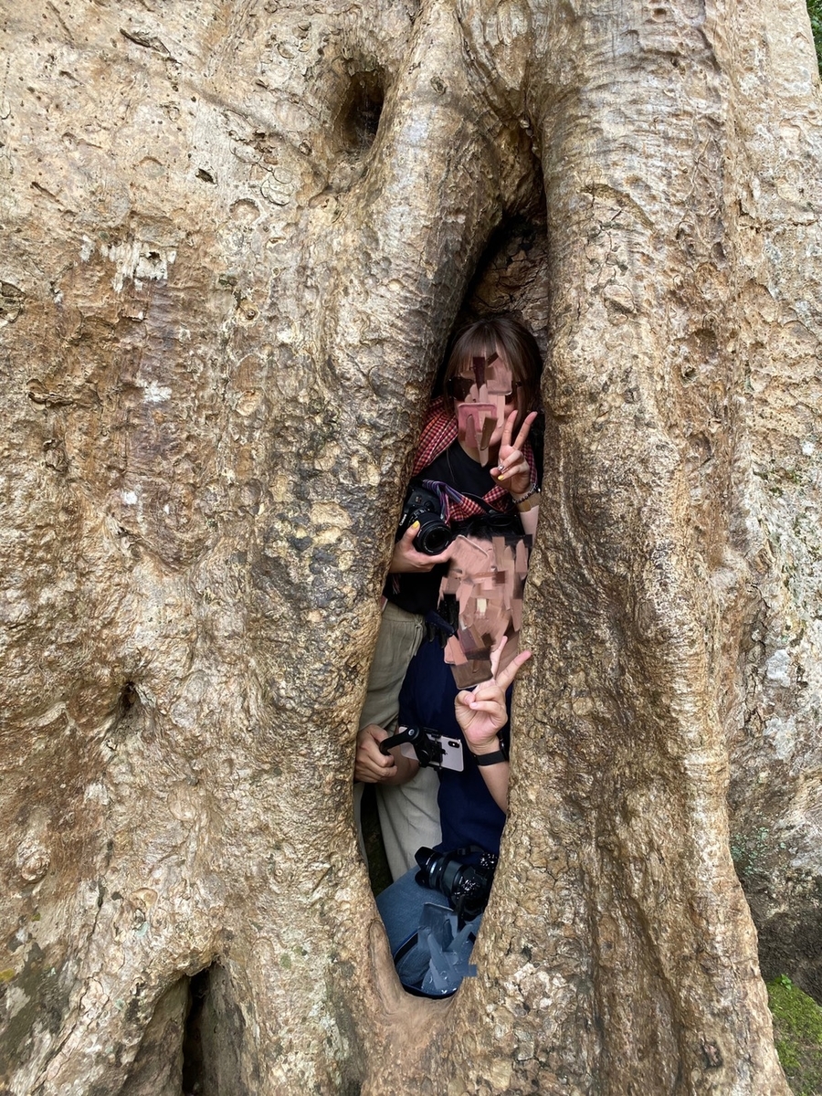 f:id:k-keikouma:20191120165446j:plain f:id:k-keikouma:20191120165446j:plain