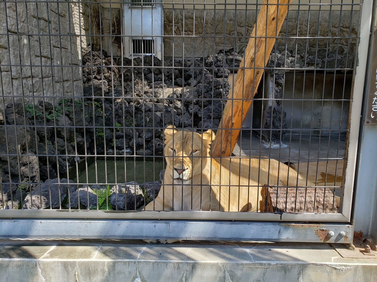 f:id:k-luna:20190927232329j:plain f:id:k-luna:20190927232329j:plain
