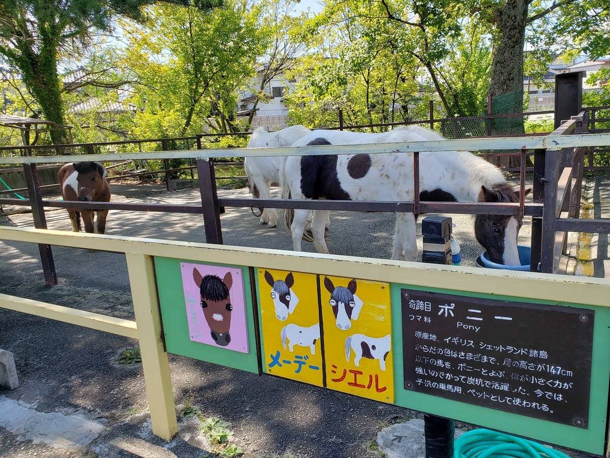 f:id:k-luna:20190927233507j:plain f:id:k-luna:20190927233507j:plain
