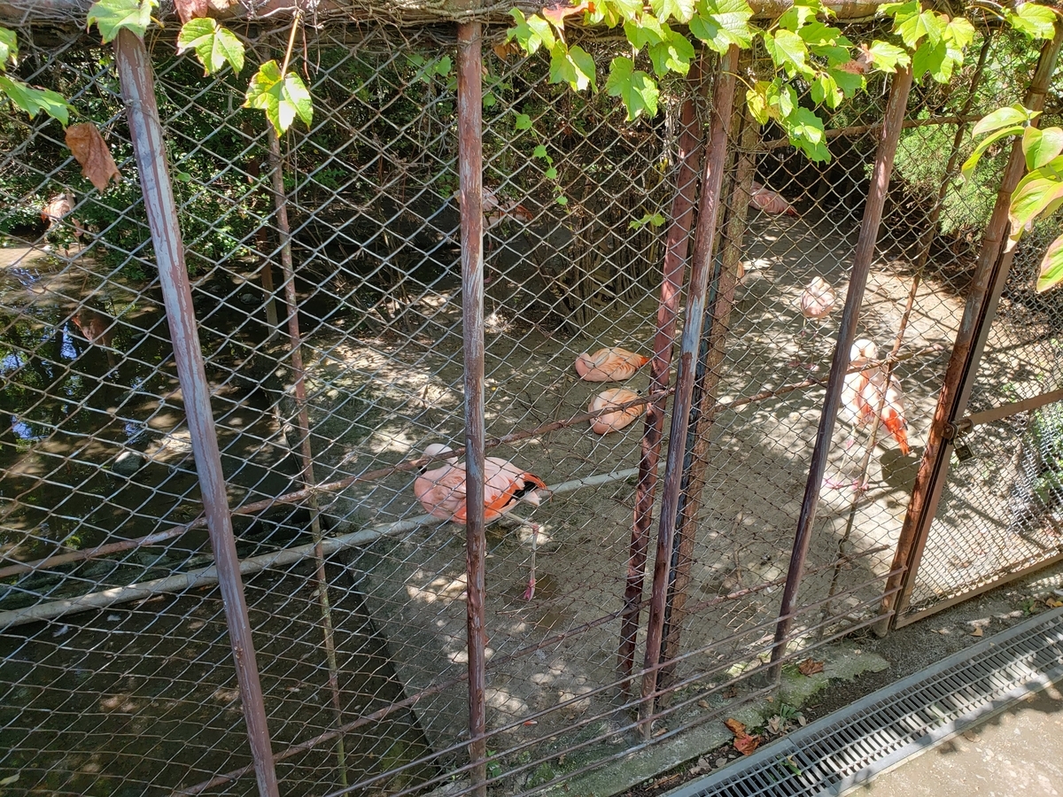 f:id:k-luna:20190927233651j:plain