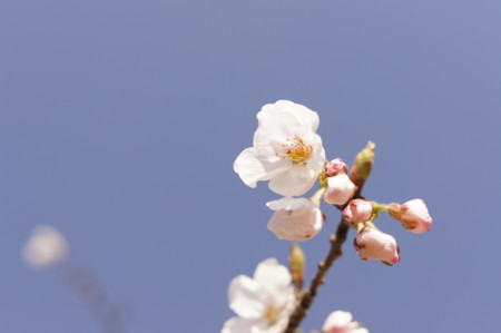 f:id:k-master:20110417091641j:image f:id:k-master:20110417091641j:image
