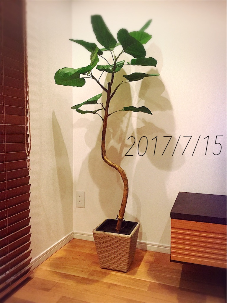 f:id:k-minnie-y:20170715232326j:image f:id:k-minnie-y:20170715232326j:image