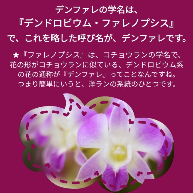 f:id:k-n-a-g:20190810215420j:image