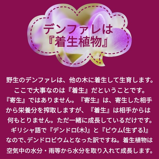 f:id:k-n-a-g:20190810215828j:image