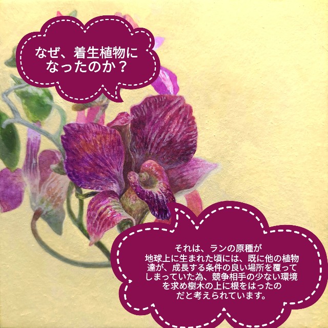 f:id:k-n-a-g:20190810220144j:image