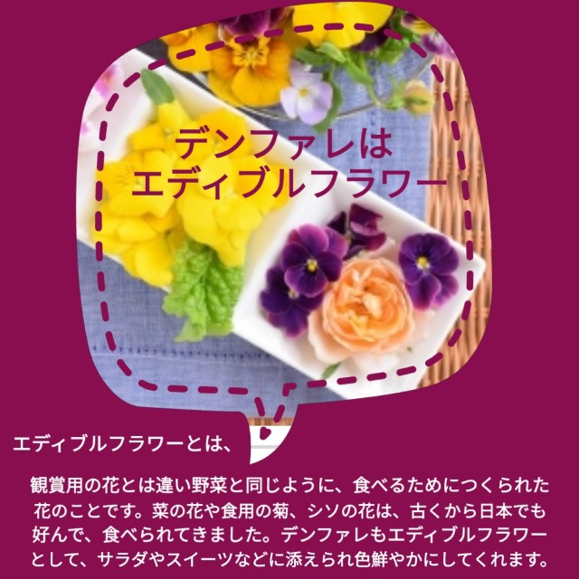 f:id:k-n-a-g:20190810220438j:image