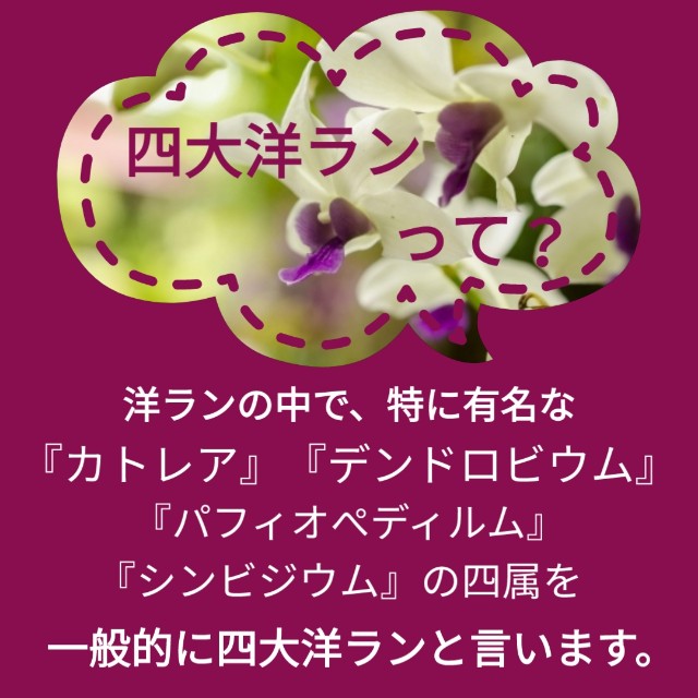 f:id:k-n-a-g:20190810221056j:image