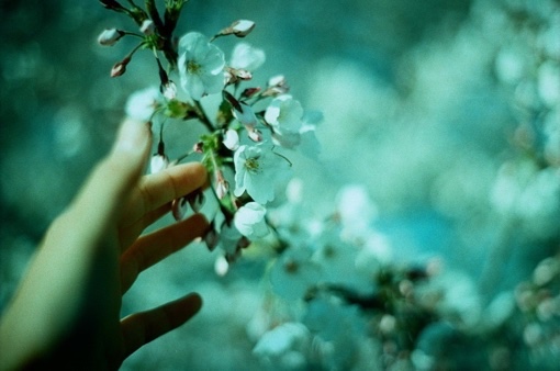 f:id:k-nightsan:20220128124416j:plain