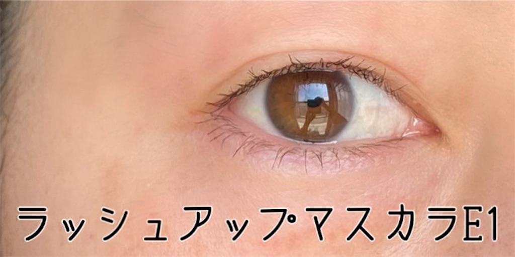 f:id:k-nightsan:20240318212436j:image