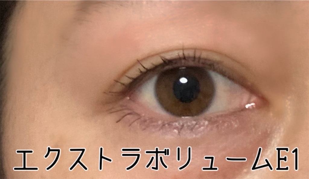 f:id:k-nightsan:20240318212654j:image