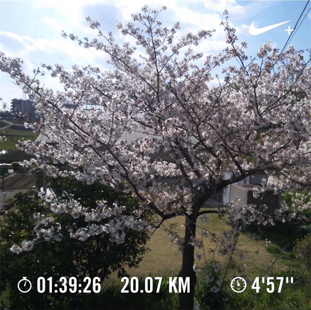 f:id:k-nisi:20190413174919j:image f:id:k-nisi:20190413174919j:image