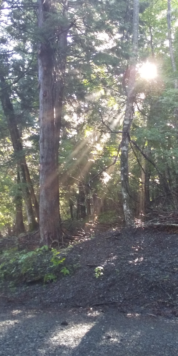 f:id:k-oblige:20190616225301j:plain f:id:k-oblige:20190616225301j:plain