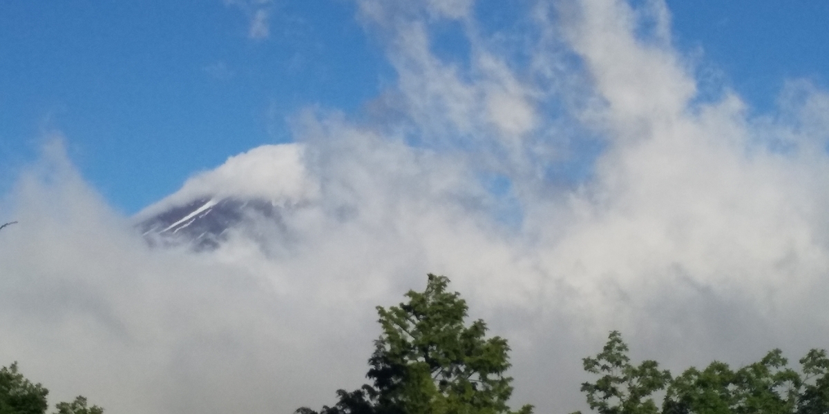 f:id:k-oblige:20190616225455j:plain f:id:k-oblige:20190616225455j:plain