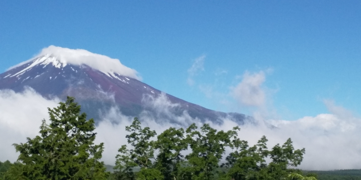 f:id:k-oblige:20190616225828j:plain f:id:k-oblige:20190616225828j:plain