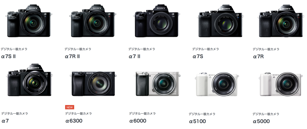 ミラーレスを買うならa6000かa5100がベスト というお話 ミラーレスカメラをほぼ毎日使うblog Pentoru Com連携