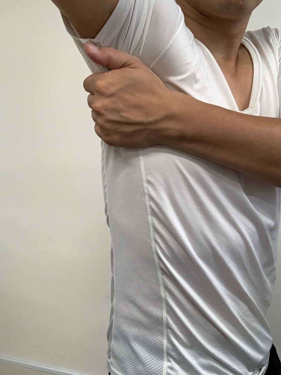 f:id:k-reple:20190806151516j:plain