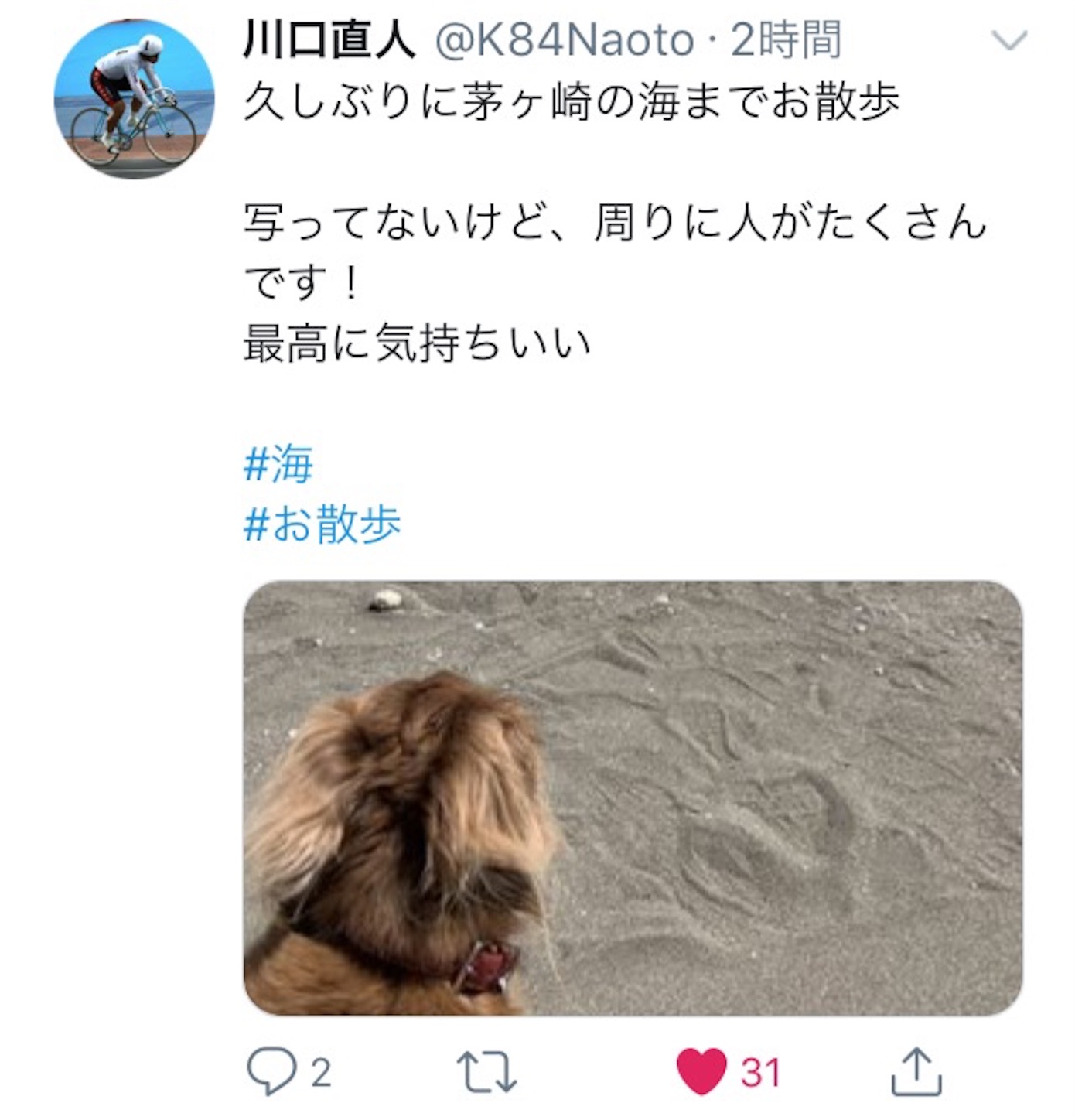f:id:k-rinman:20200524162932j:image