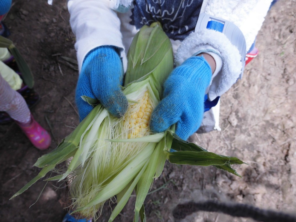 f:id:k-rose:20160704110532j:plain