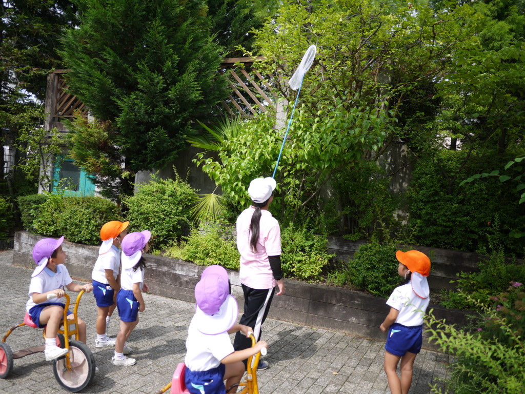 f:id:k-rose:20160711093431j:plain