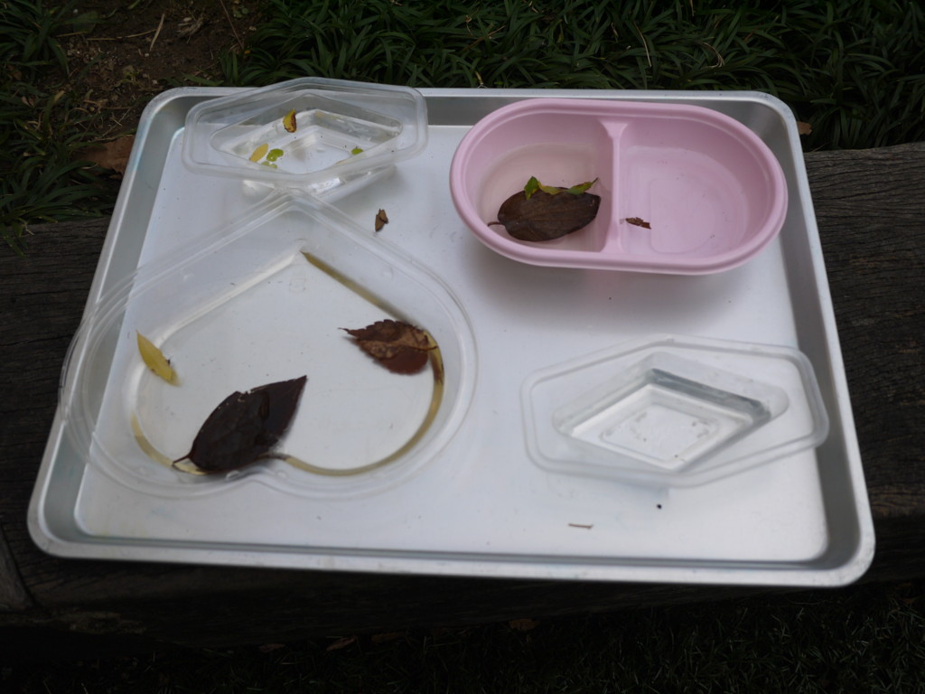 f:id:k-rose:20170119151931j:plain f:id:k-rose:20170119151931j:plain