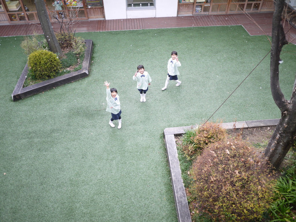 f:id:k-rose:20170124120543j:plain