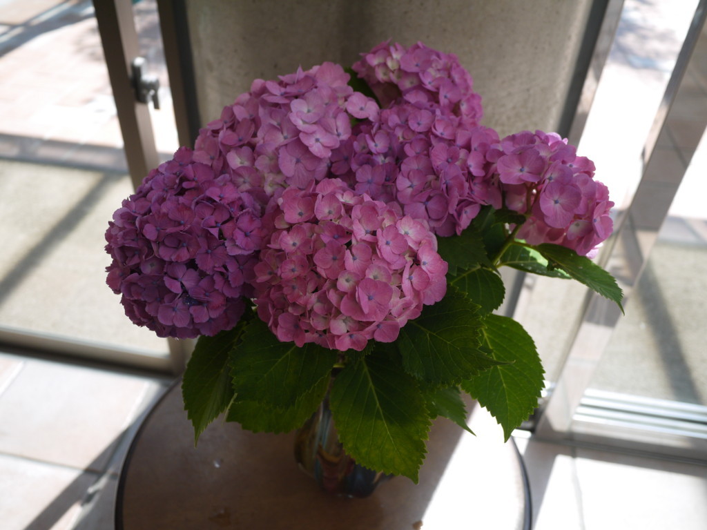 f:id:k-rose:20170609102708j:plain