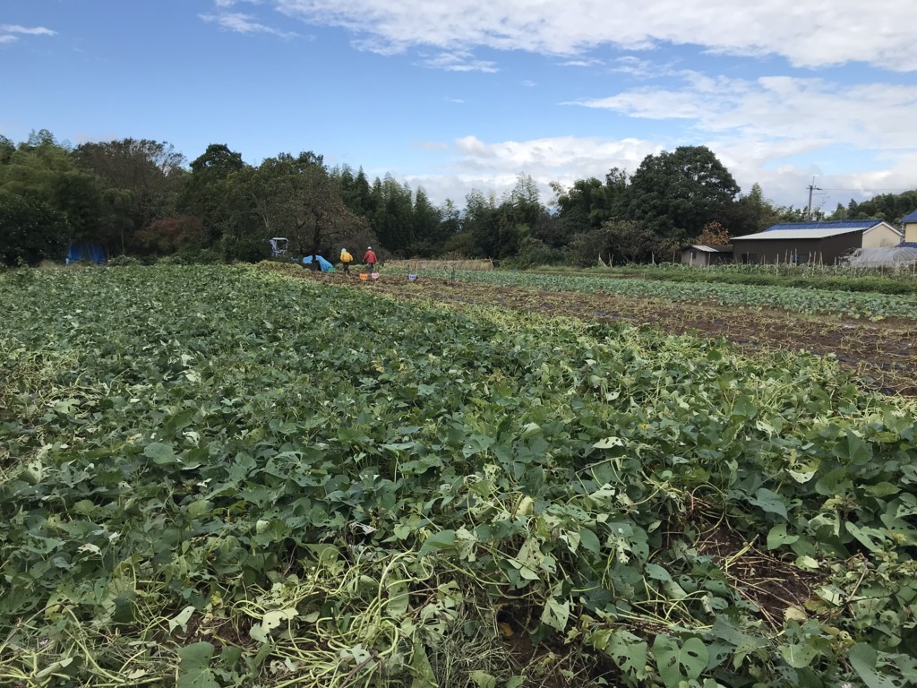 f:id:k-rose:20171025104038j:plain