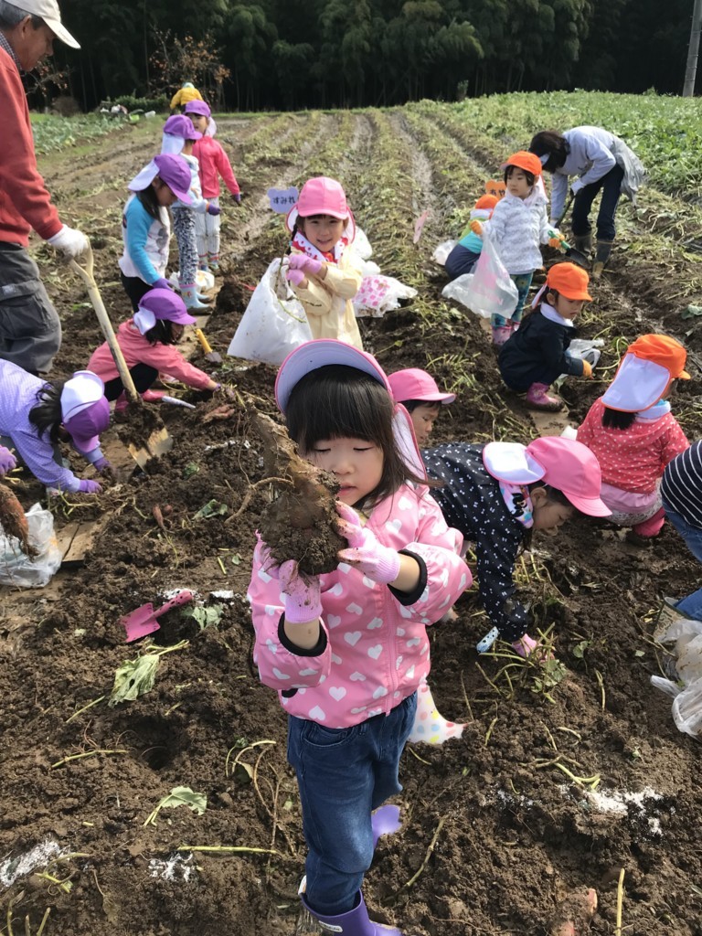 f:id:k-rose:20171025105712j:plain