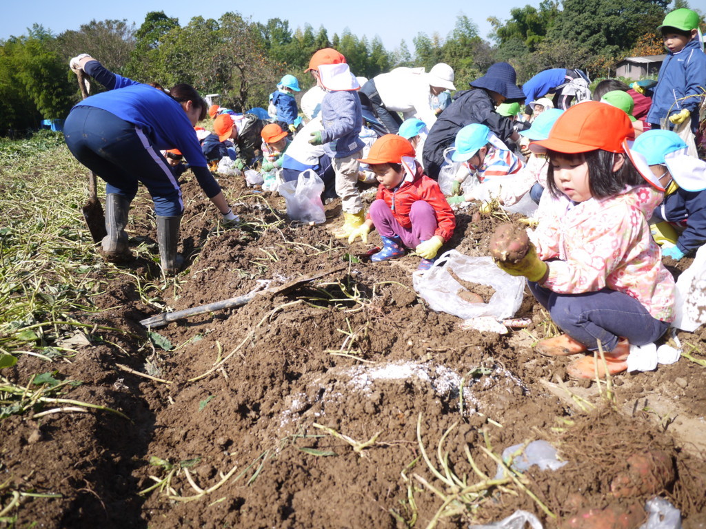 f:id:k-rose:20171026113259j:plain f:id:k-rose:20171026113259j:plain