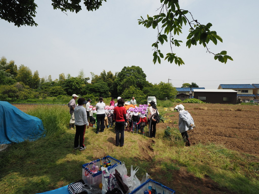 f:id:k-rose:20180516104457j:plain