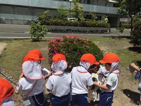 f:id:k-rose:20180525155117j:plain