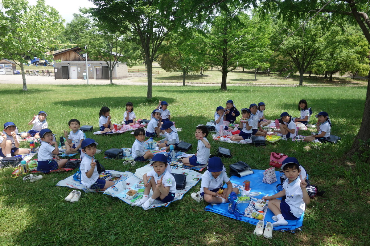 f:id:k-rose:20190515115854j:plain