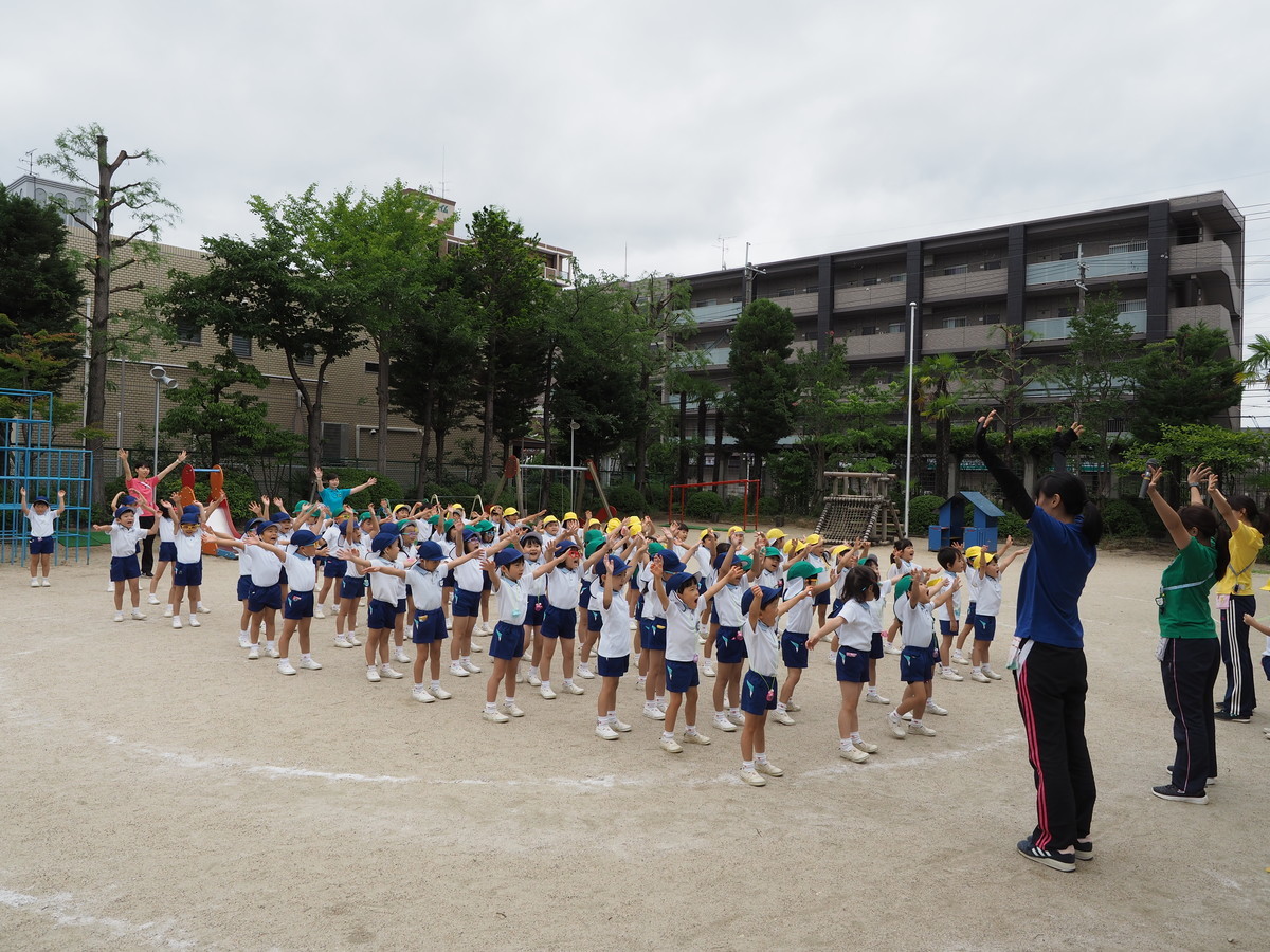 f:id:k-rose:20190706073645j:plain