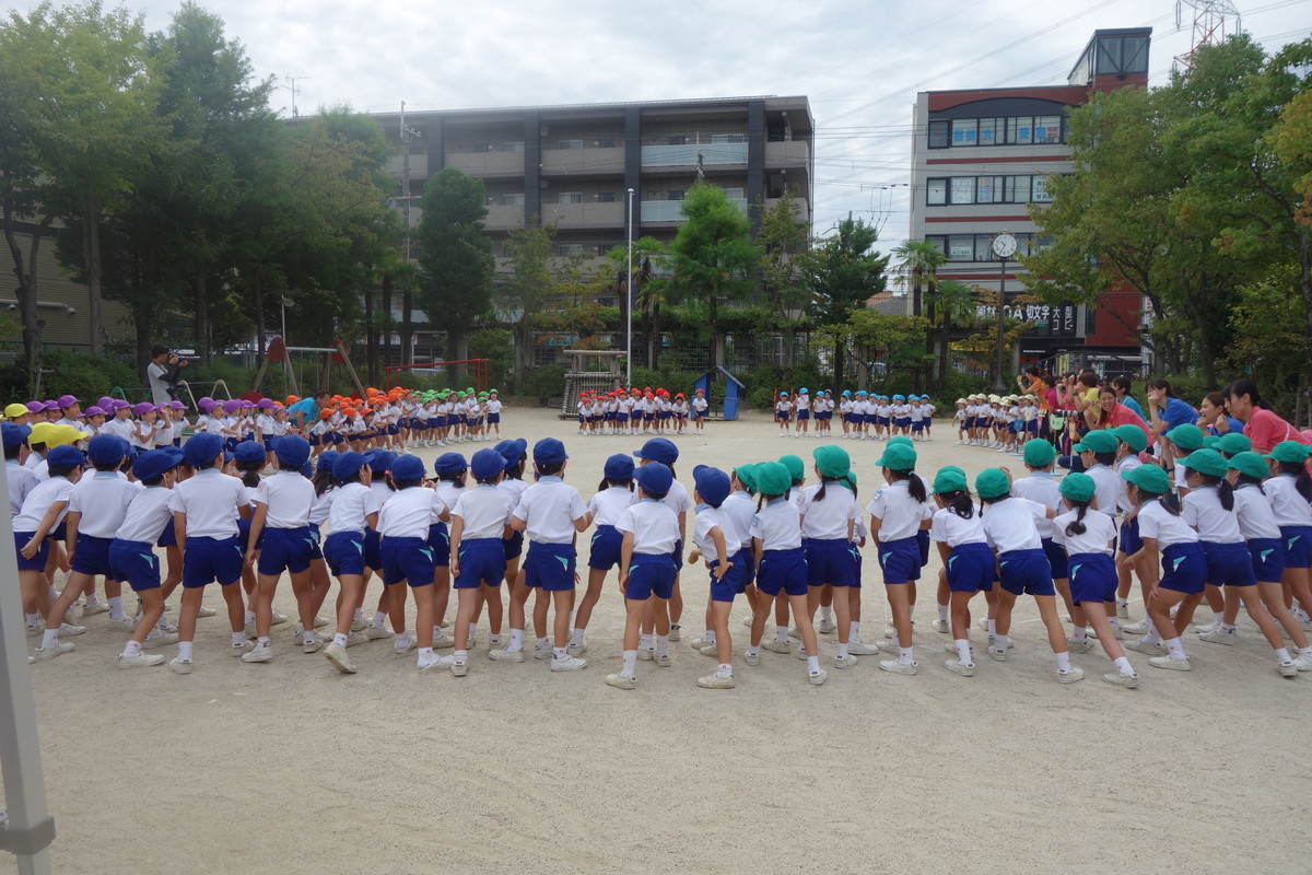 f:id:k-rose:20191011104411j:plain f:id:k-rose:20191011104411j:plain
