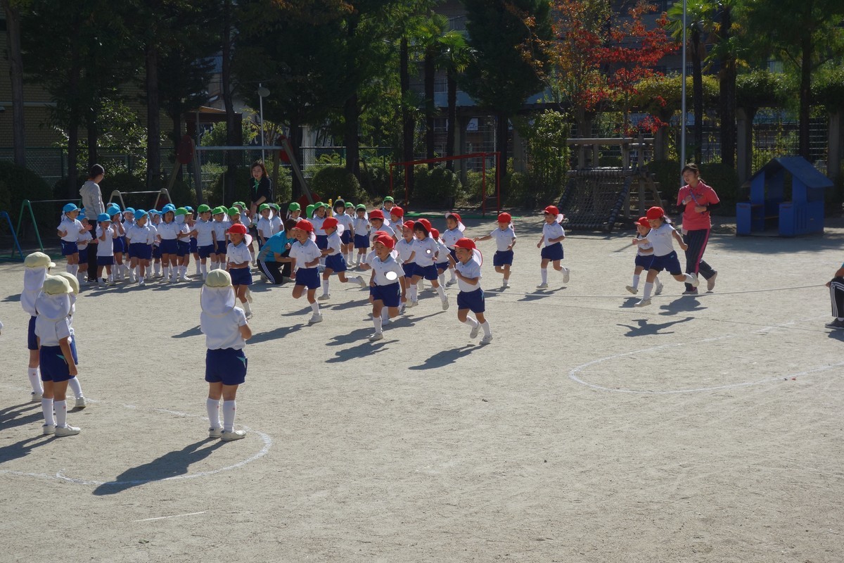 f:id:k-rose:20191106102925j:plain