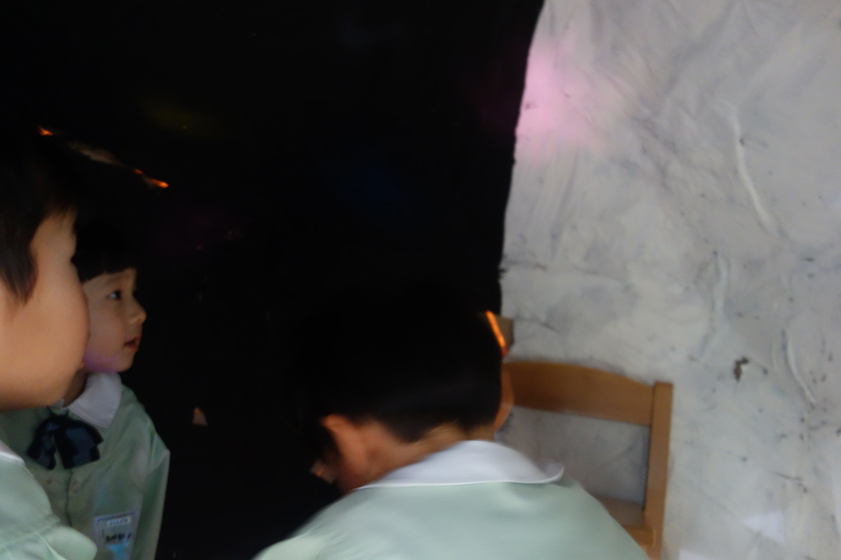 f:id:k-rose:20200204160017j:plain