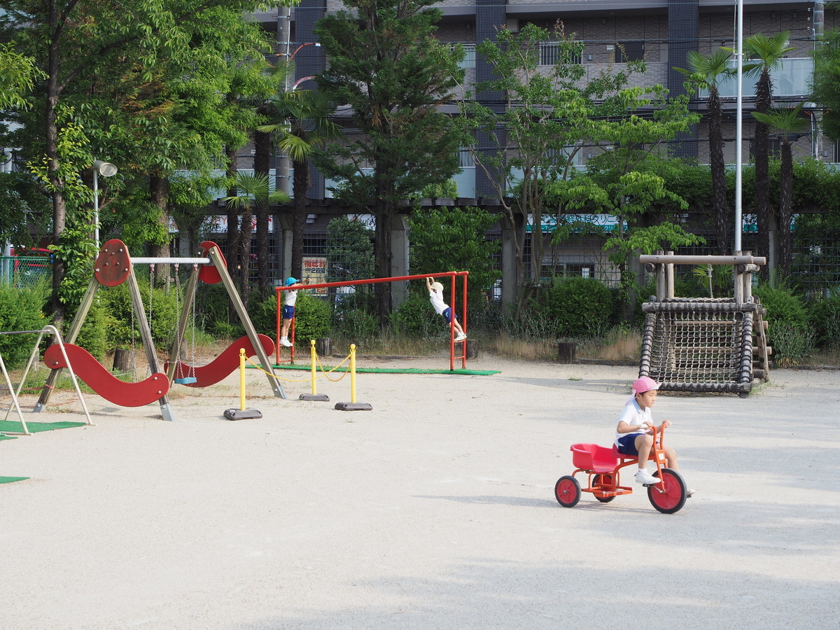 f:id:k-rose:20200610083813j:plain