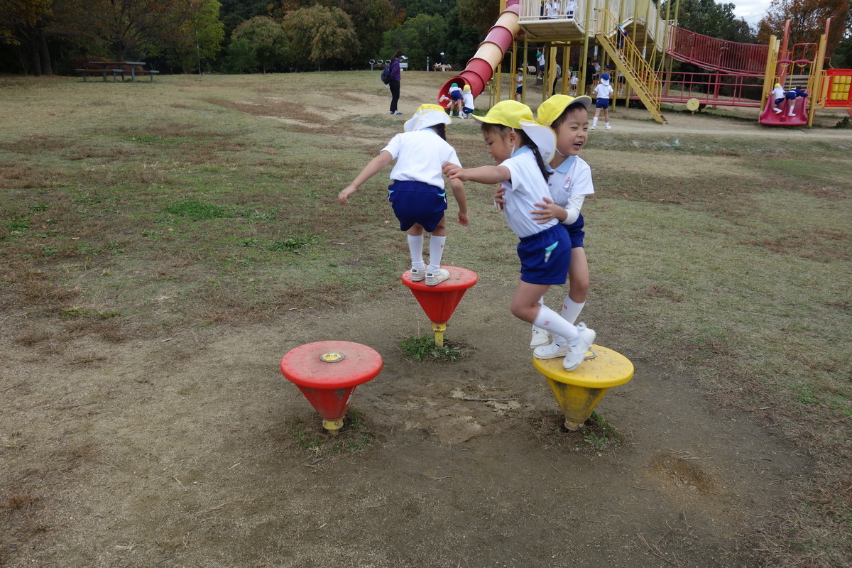 f:id:k-rose:20201109133752j:plain f:id:k-rose:20201109133752j:plain