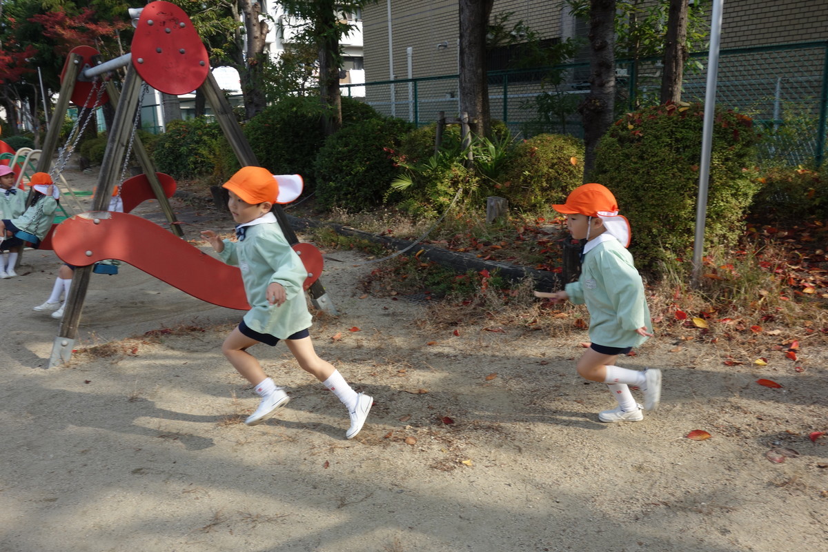 f:id:k-rose:20201116144020j:plain