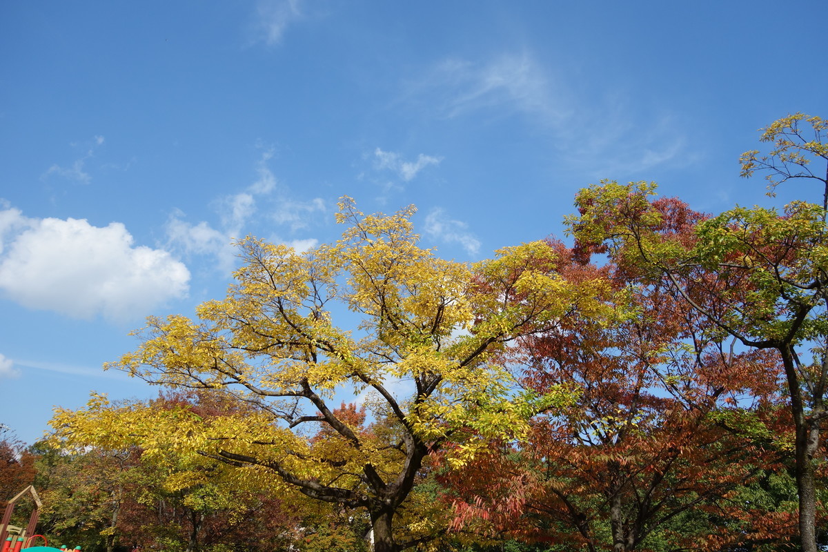 f:id:k-rose:20211102154259j:plain
