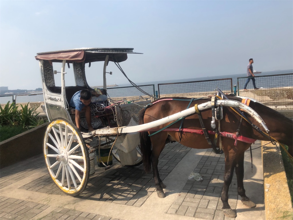 f:id:k-sasaking:20191028085657j:image