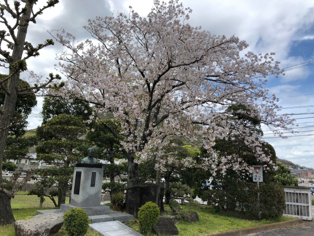 f:id:k-seamless:20190411150306j:plain