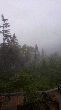 f:id:k-surf:20090807123947j:image