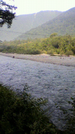 f:id:k-surf:20090819070930j:image