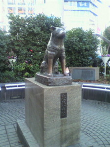 f:id:k-surf:20091230074055j:image f:id:k-surf:20091230074055j:image