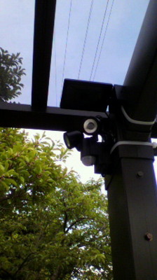 f:id:k-surf:20100529181332j:image
