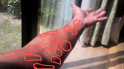 f:id:k-surf:20100919104234j:image