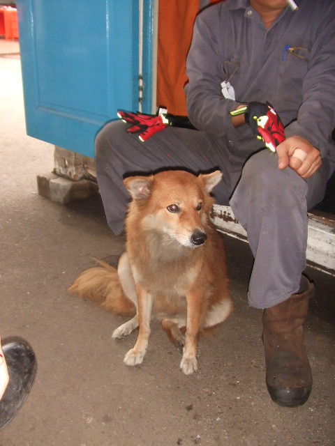 f:id:k-surf:20111020161918j:image:w360