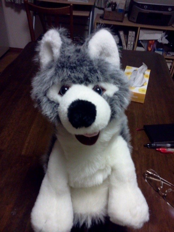 f:id:k-surf:20120705211323j:image:w360