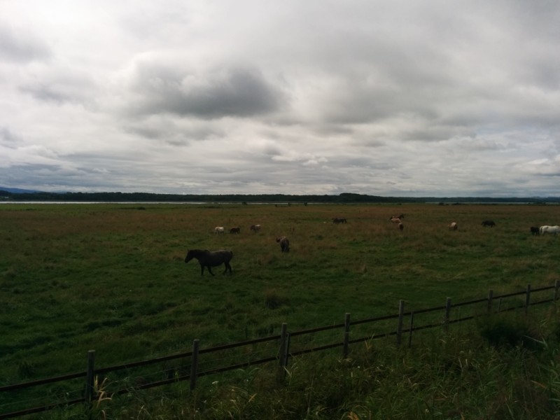 f:id:k-surf:20140820115731j:image f:id:k-surf:20140820115731j:image